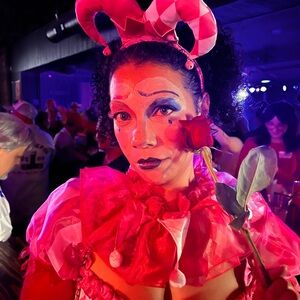 Pinwheel Fantasy Jester Clown Costume